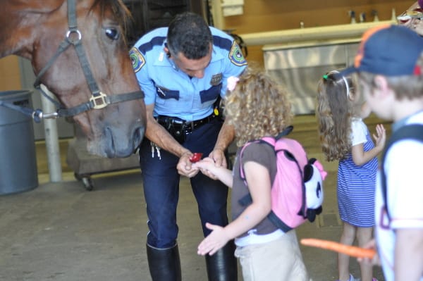 Houston Police Mounted Patrol Stables Feeding Horse Apple