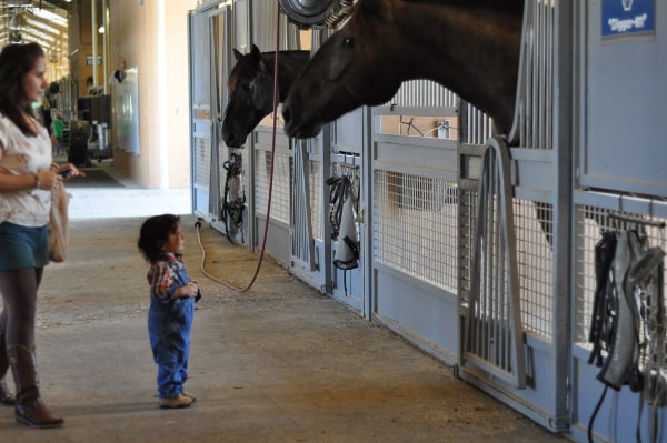 Mounted Patrol Feeding Horses Noah