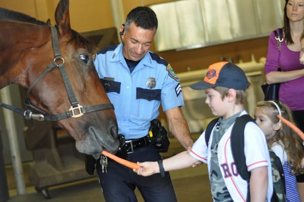 Mounted Patrol Feeding Horses