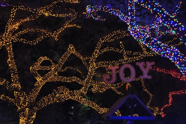 Houston Zoo Lights Joy