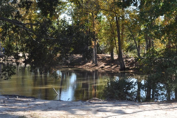 Meyer Park Creek