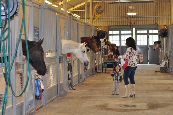 Noah and Mom at Mounted Patrol Stables