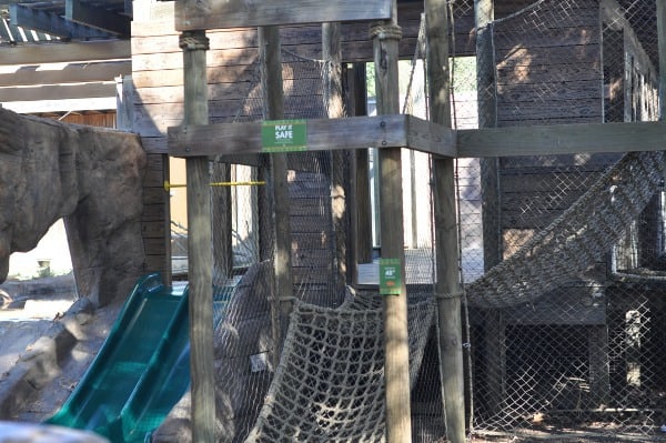 Otter Ropes at Houston Children's Zoo