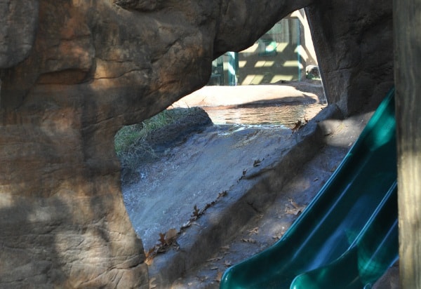 Otter Slide at Houston Zoo