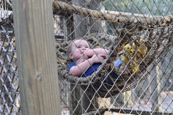 Relaxing in Ropes at Houston Zoo