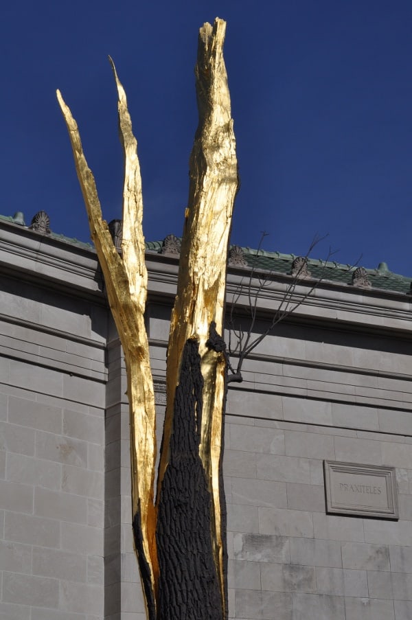 Gold Tree