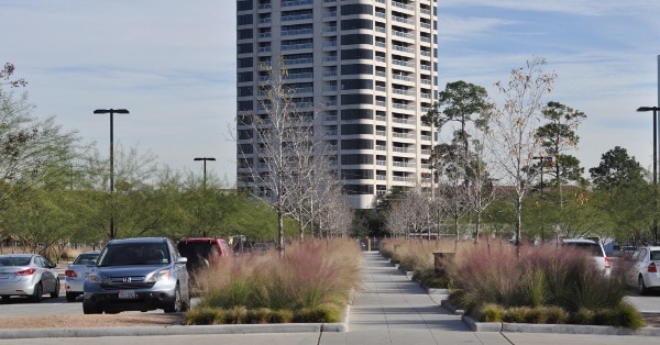 Hermann Park Centennial Garden Parking Lot