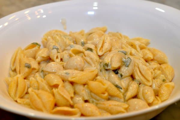 Pasta Shells with Meyer Lemon Cream