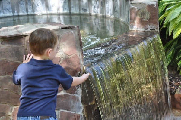 Bell Park Houston Waterfall