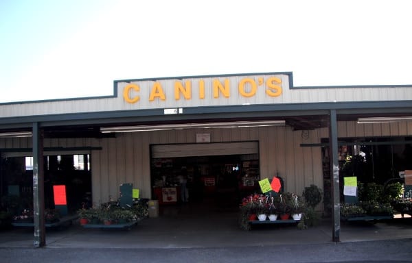 Caninos Market Front Door