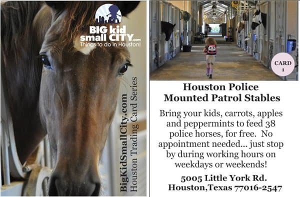 Mounted Patrol Stables