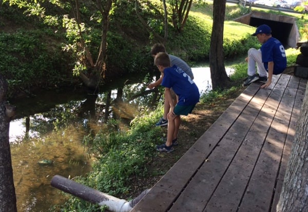 Creek at Cedar Creek Bar and Grill