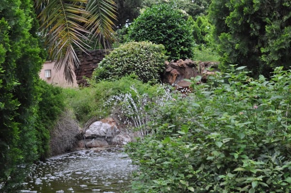 Sisters of Charity Park Water