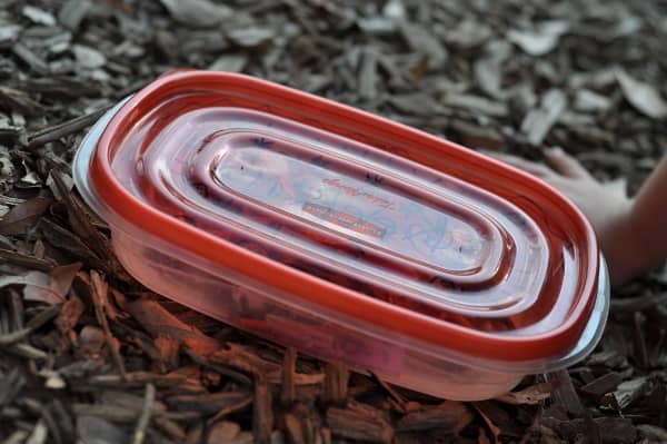 Treasure Box at the Park