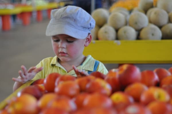 Caninos Market Nectarines