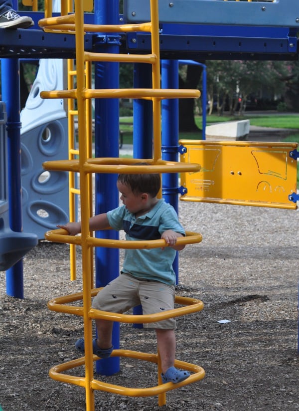 Halbert Park Houston Climbing Ladder