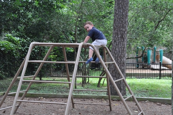 Hedwig Park Climbing