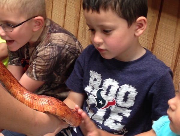 The Wetlands Center Snake