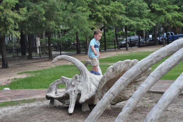 Travis Spark Park Dinosaur Bones