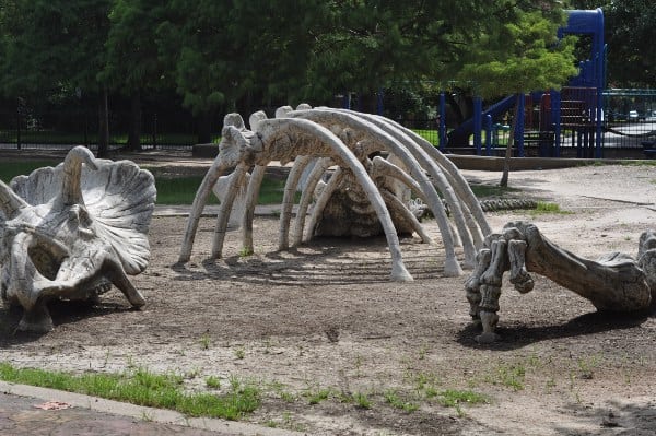 Travis Spark Park Dinosaur Bones1