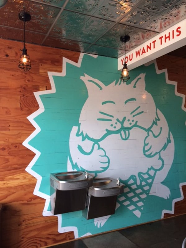 Fat Cat Creamery Houston Heights Walls