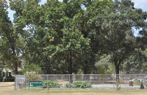 Freed Park Community Garden