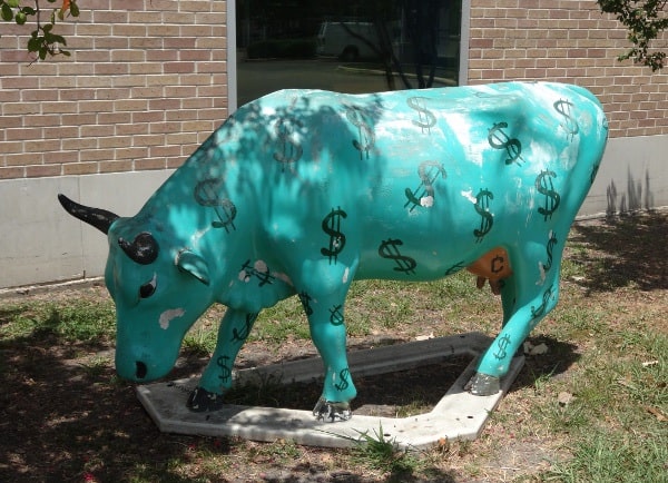 WIH Cash Cow