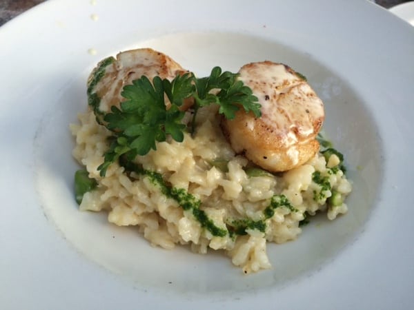 La Griglia Scallops and Risotto