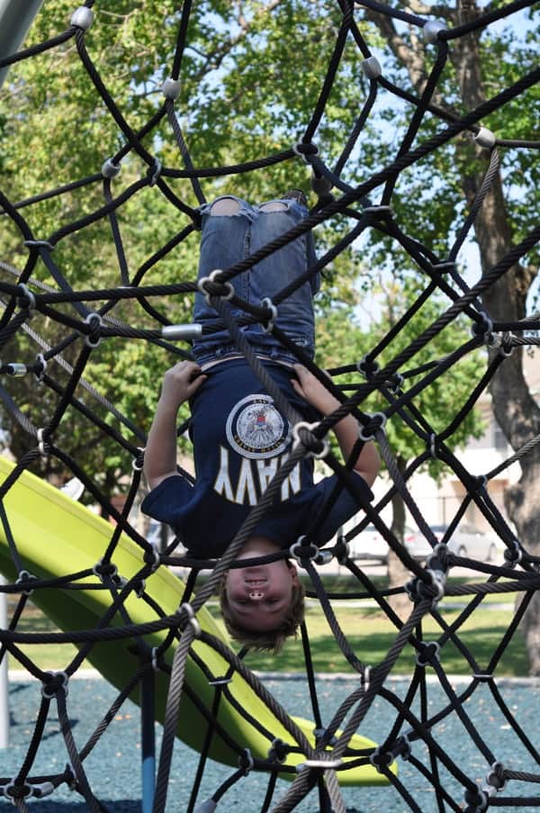 Allenbrook Park Baytown Spider Web Joe