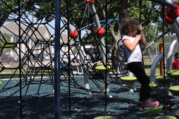 Allenbrook Park Spider Web Baytown