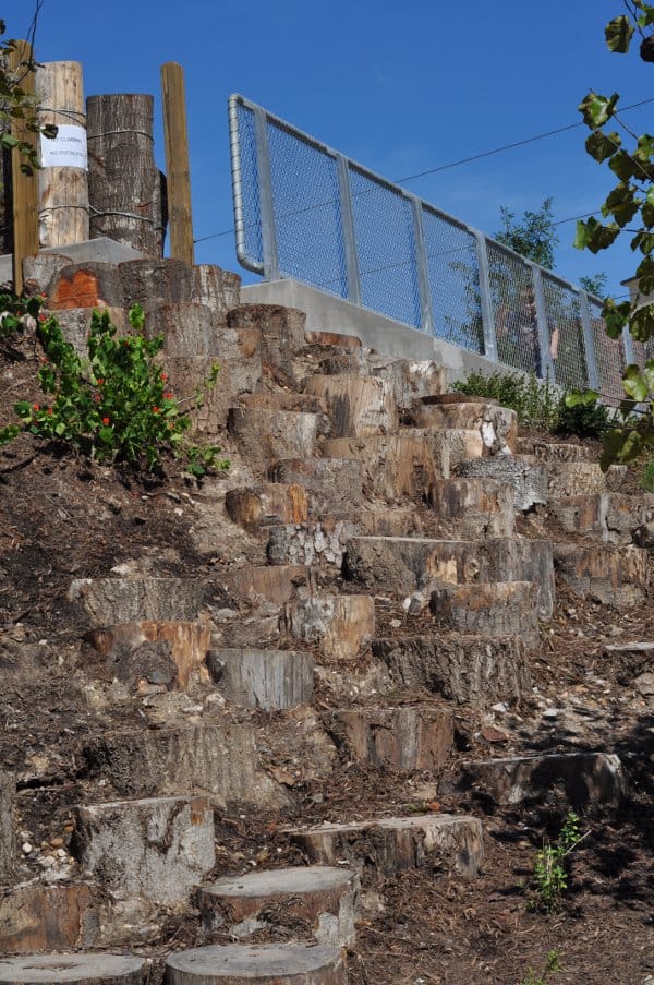 Fish Family Play Area Stumps for Climbing Buffalo Bayou Park