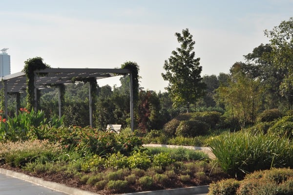 Hermann Park Centennial Garden Pergola1