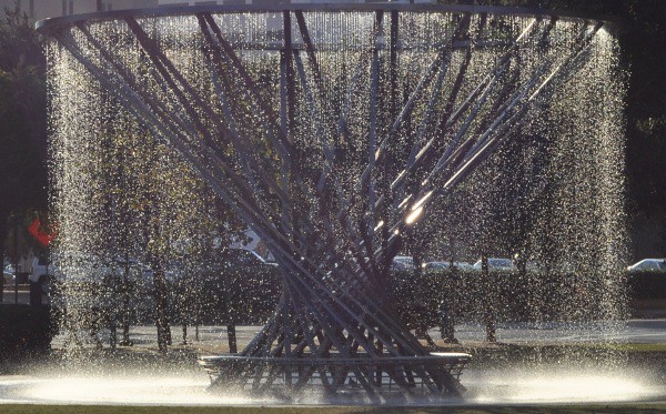 Discovery Green Mist Tree