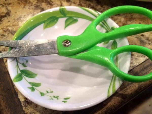 Pho Ben Sugar Land Scissors