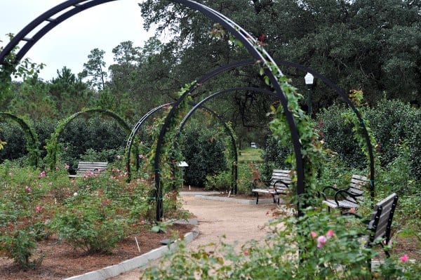 Arch at Centennial Garden Hermann Park