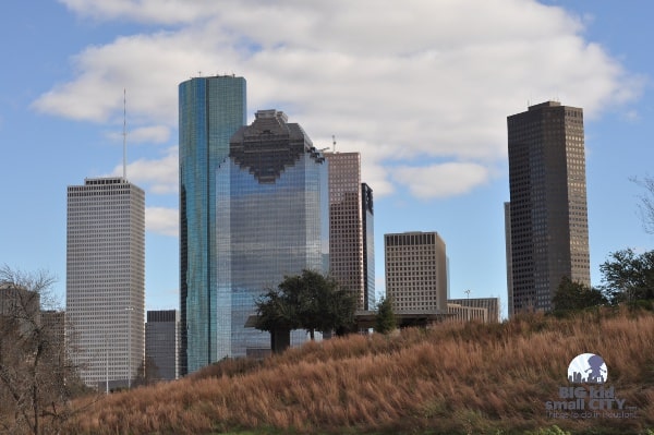 Houston Skyline from tall grass in Buffalo Bayou Park