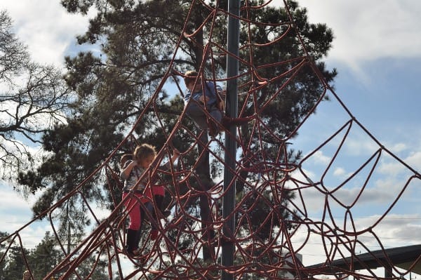 Matzke Park Sprider Web BigkIdsmallcity