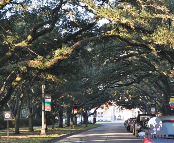 Rice University Gate 1