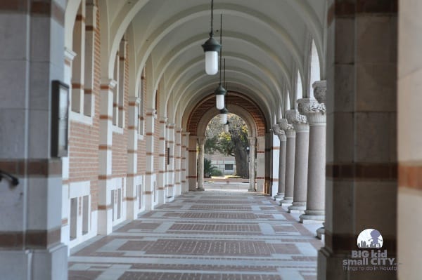 Rice University Lovett Hall Columns