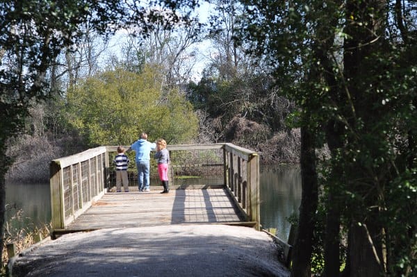 Theis Attaway Nature Park Pier BigKidSmallCity