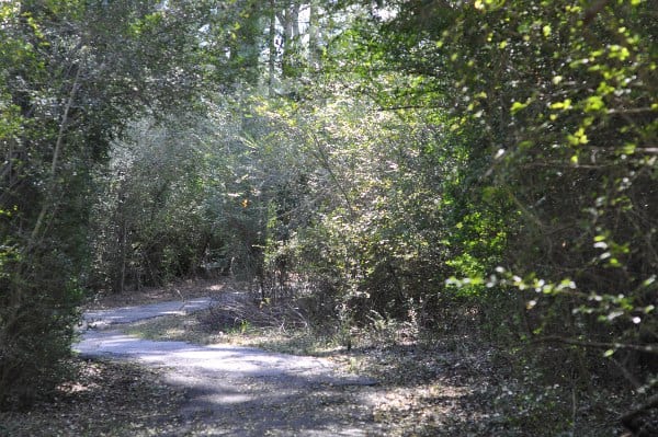 Theis Attaway Nature Park Trail BigKidSmallCity