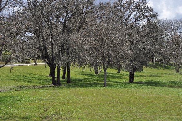 Brays Bayou Greenway Trail 3