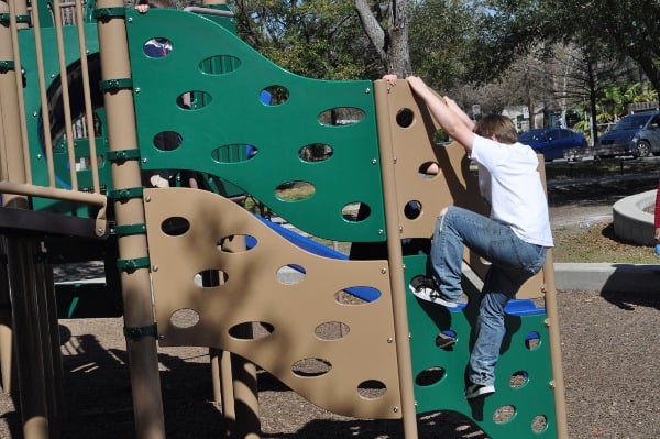 Briar Meadow Park Climber