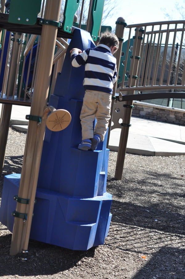 Briar Meadow Park Mountain Climber