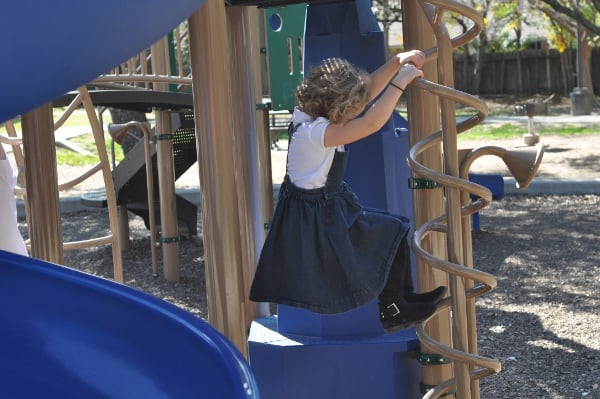 Briar Meadow Park Playground Climber