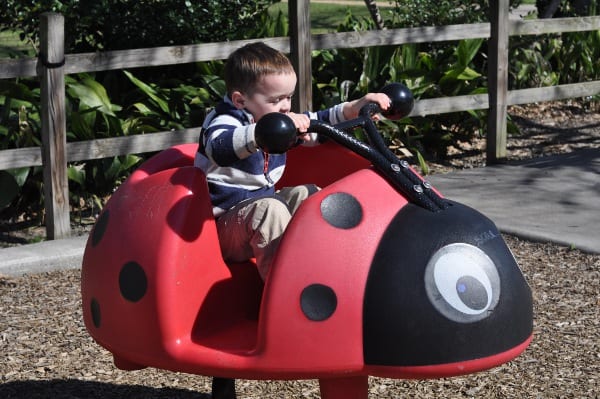 Briarbend Park Ladybug