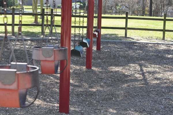 Briarbend Park Swings