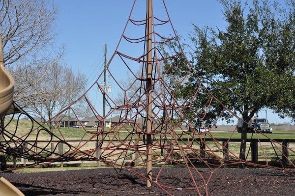 Memorial Park Sugar Land Spider web