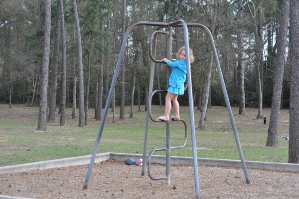 Telge Park Climbing Bars