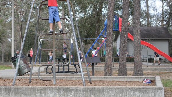 Telge Park Slide and Bars